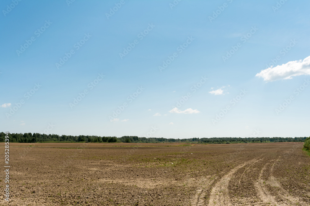 sown field, traces of tractor wheels, forest on the horizon and blue sky with small clouds