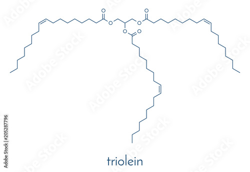 Olive oil triglyceride (glyceryl trioleate, triolein). Example of an olive oil triglyceride, containing 3 oleic acid moieties. Skeletal formula.
