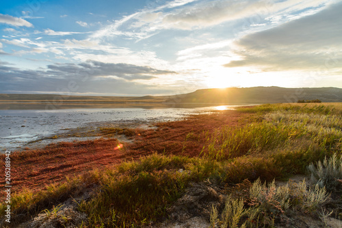 wild nature landscape with salt lake, green and red grass and cloudy blue sky at sunrise