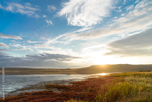 wild nature landscape with salt lake, green and red grass and cloudy blue sky at sunrise