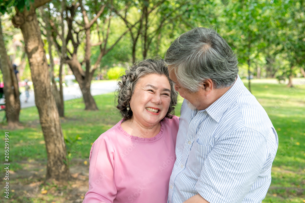 Senior couple in park. Dancing together, relaxing and loving each other with a smile Senior couple in park. Dancing together, relaxing and loving each other with a smile