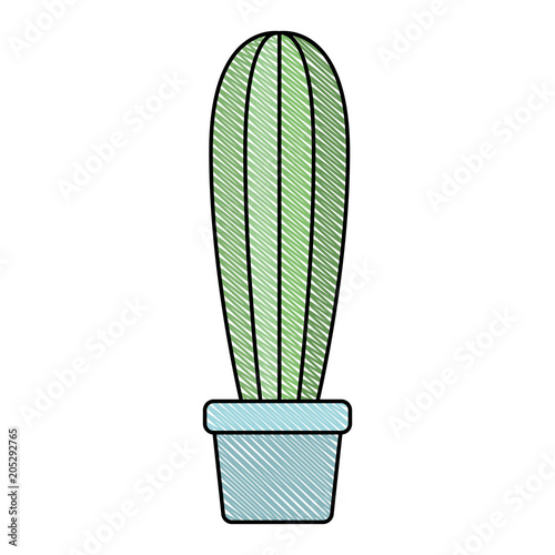 cactus in pot houseplant vector illustration design