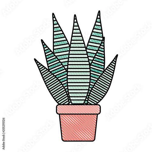 aloe plant in pot houseplant vector illustration design