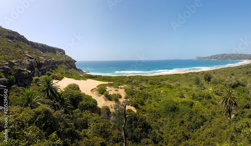 Canvas Print Palm Beach on Sydney Australia