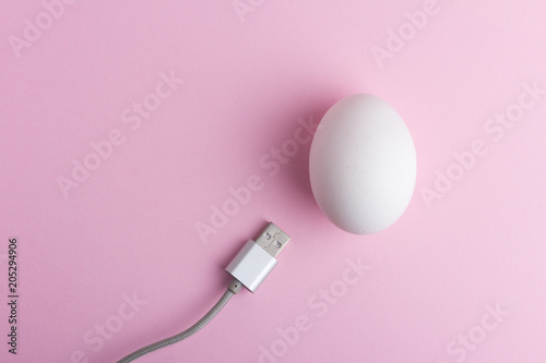 USB cable near white chicken egg on pink pastel background. Top view