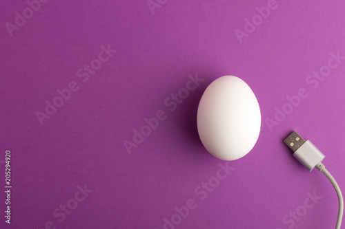 USB cable near white chicken egg on purple background. Copy space