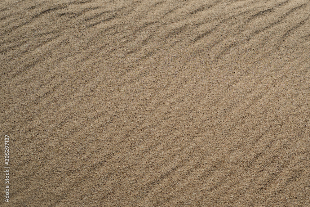 texture texture