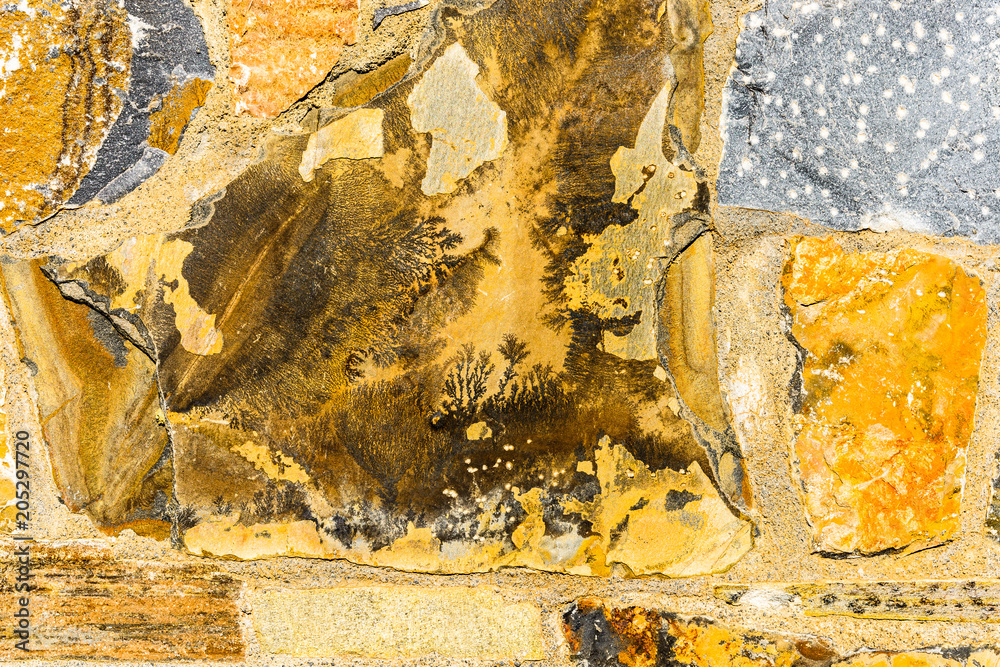 Prehistoric plants fossils texture imprint on granite rock stone used