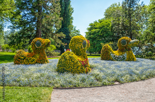 Fototapeta Naklejka Na Ścianę i Meble -  Mainau, Lake Constance. Flowerbed at Mainau island in Lake Constance,the Island of Flowers, Germany
