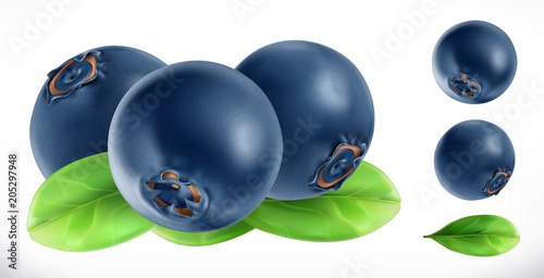 Blueberry. Fresh fruit 3d realistic vector icon