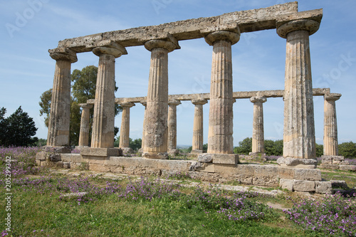 Palatine Tables, Metaponto