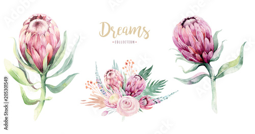 Hand drawing isolated watercolor floral illustration with protea rose, leaves, branches and flowers. Bohemian gold crystal frames. Elements for greeting wedding card. photo