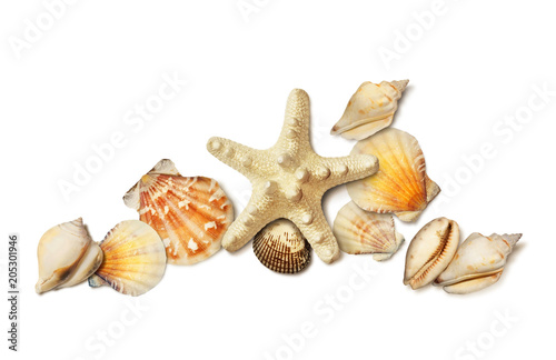 Sea shell and starfish composition isolated on white
