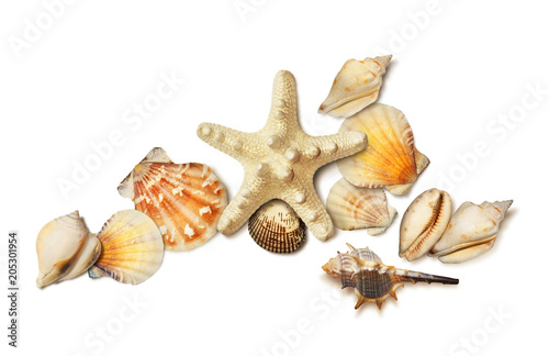 Sea shell and starfish composition isolated on white 
