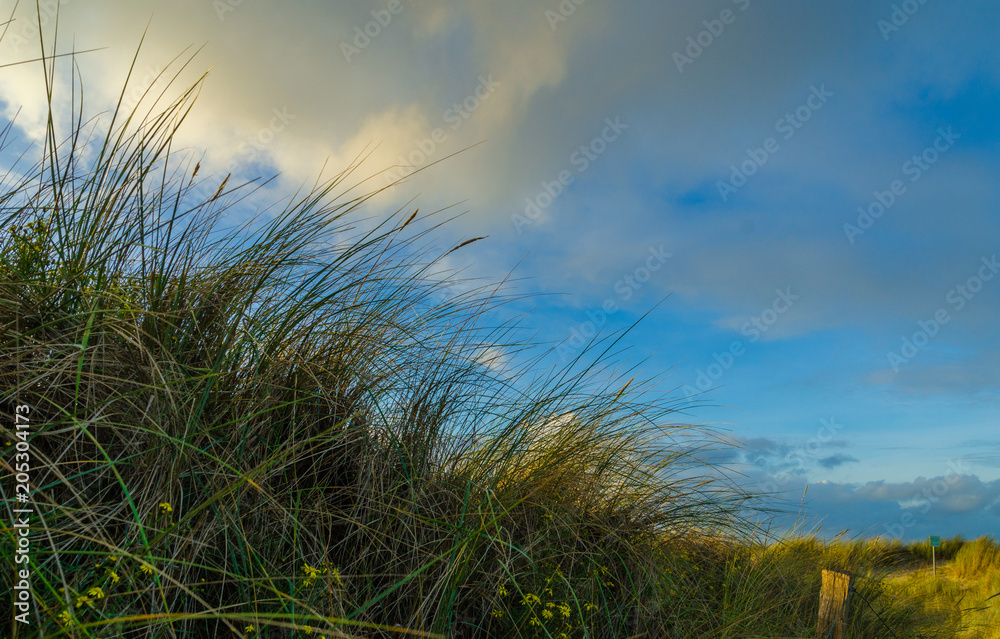 Langeoog