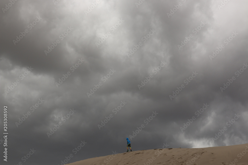 Fototapeta premium Rain clouds over sand dunes