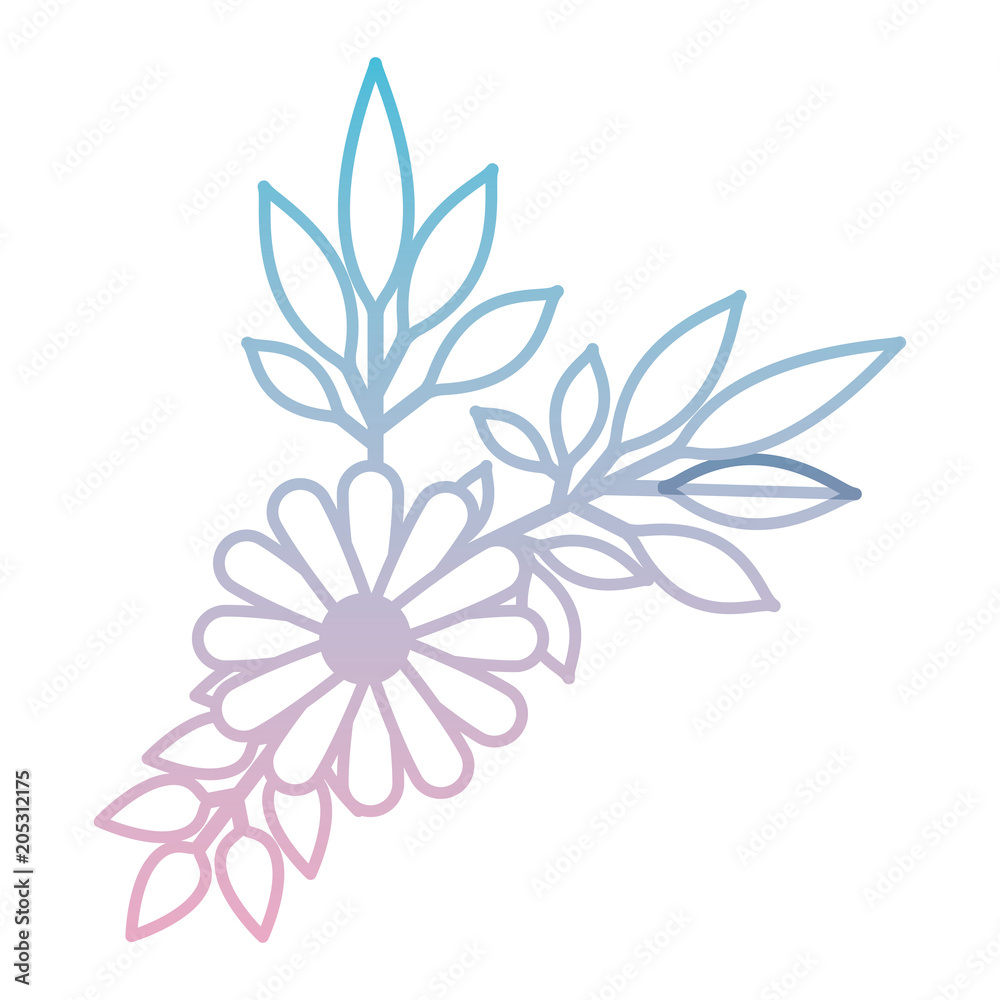 flower and leafs decorative icon vector illustration design flower and leafs decorative icon vector illustration design