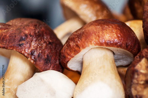White mushrooms, close-up background
