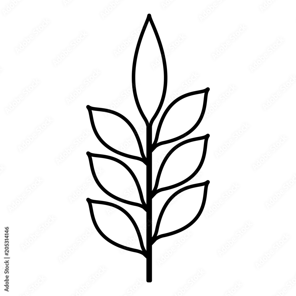 branch with leafs decorative icon vector illustration design branch with leafs decorative icon vector illustration design