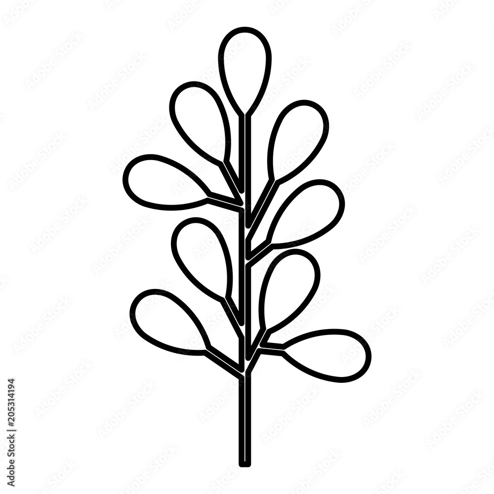 branch with leafs decorative icon vector illustration design