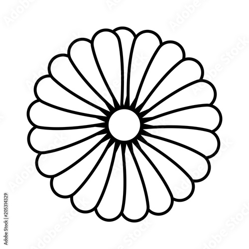 beautiful sunflower decorative icon vector illustration design