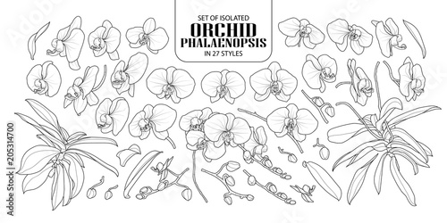Set of isolated orchid in 27 styles.