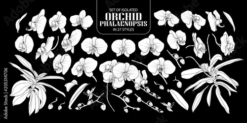 Set of isolated white silhouette orchid.