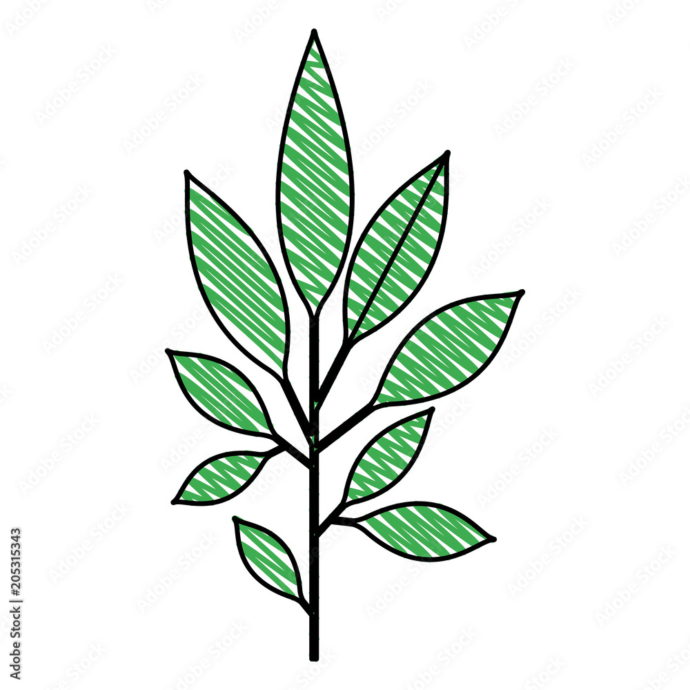 Naklejka premium branch with leafs decorative icon vector illustration design