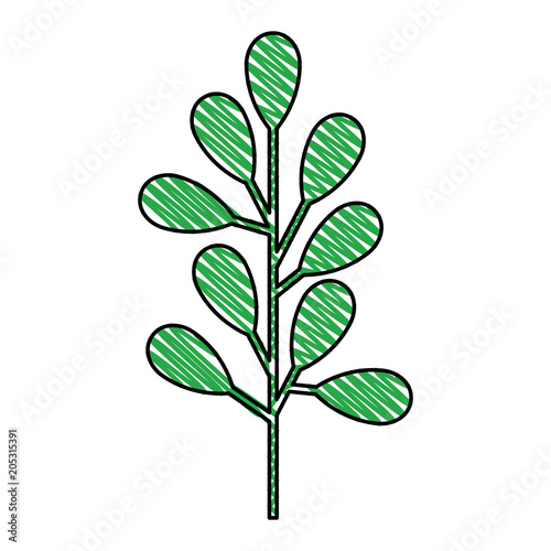 branch with leafs decorative icon vector illustration design
