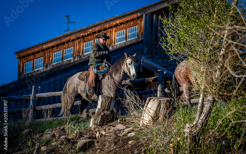 APRIL 22, 2017, RIDGWAY COLORADO: Cowboys ride horse on Centennial Ranch, Ridgway, Colorado - a cattle ranch owned by Vince Kotny photo