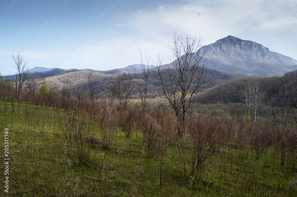 The valley is under a misty rock. Mountain 