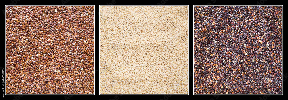 Fototapeta premium Seeds of white, red and black quinoa