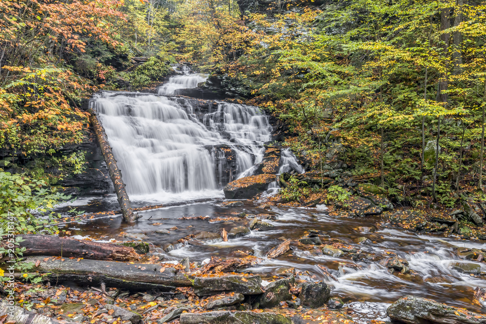 Fototapeta Mohican Falls at Ricketts Glen, Pennsylvania