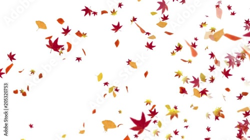 Autumn-Leaves-1-base