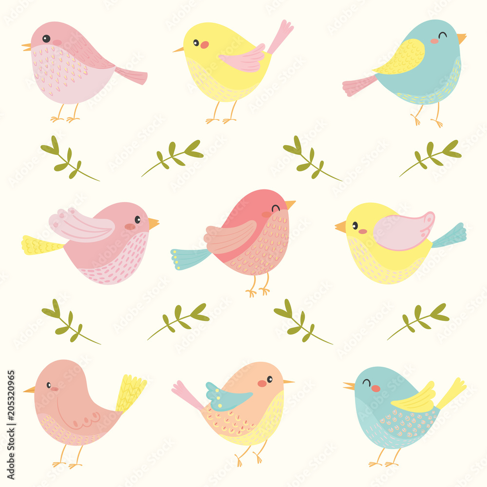 cute bird vector set