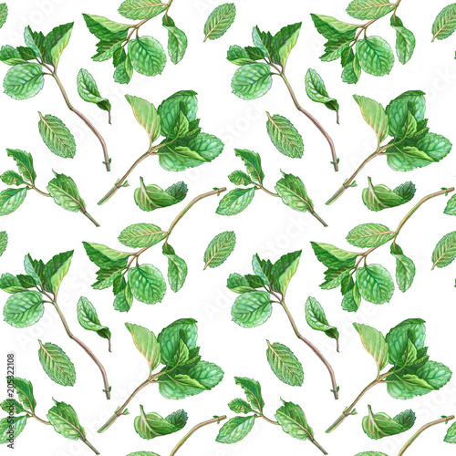 Mint Branch and Leaves Pencil Drawing Seamless Pattern