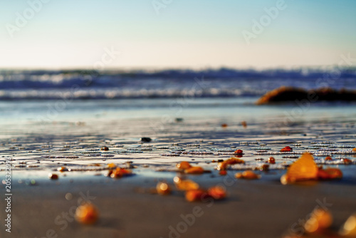 Dana point Ca bubbles