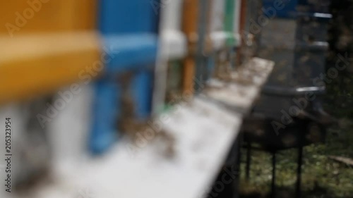 Hives in an apiary