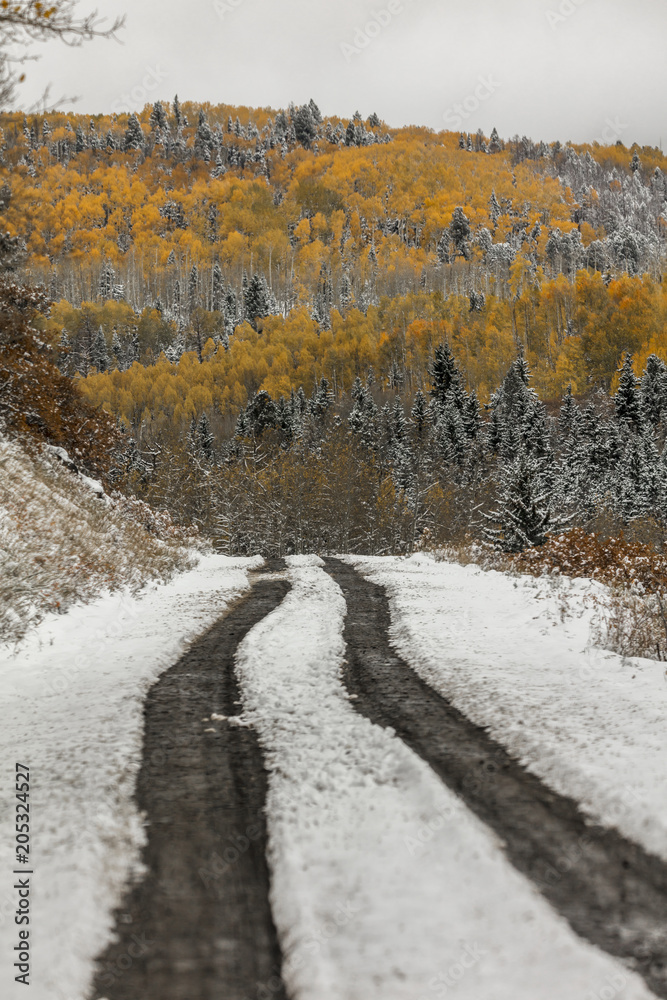 County Road 7 with fresh snow and autumn color makes its way thru San Juan Mountains County Road 7 with fresh snow and autumn color makes its way thru San Juan Mountains