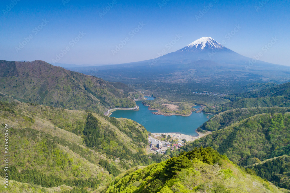 精進峠からの富士山