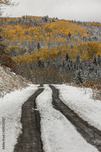 County Road 7 with fresh snow and autumn color makes its way thru San Juan Mountains
