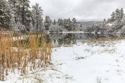 Autumn into Winter - fresh snow falls on pond outside of Ridgway Colorado near Bliue Lakes