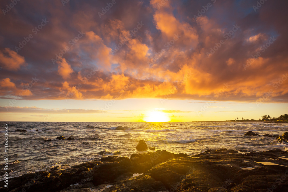 Obraz premium Hawaiian beach