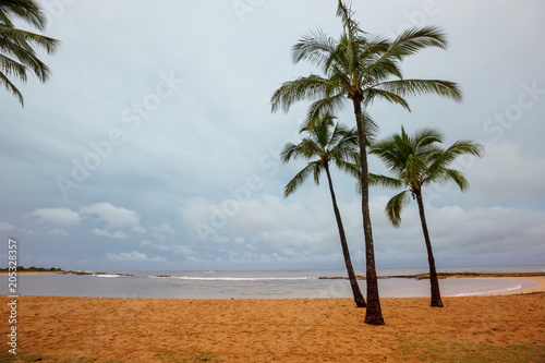 Hawaiian beach