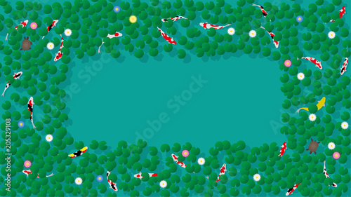 蓮池で泳ぐコイとカメ
