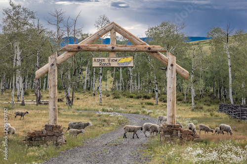 Aspen View Ranch gate in San Juan Mountains, Hastings Mesa, near Ridgway and Telluride Colorado  with sheep owned by photographer Joe Sohm photo