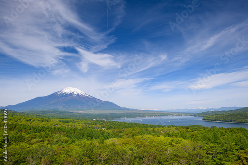 パノラマ台からの富士山 © akira1201