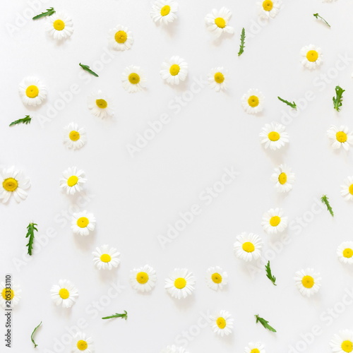 Flowers composition. Flower frame with chamomile on white background. Flat lay, top view, copy space