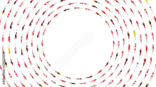 鯉のダンスパーティ