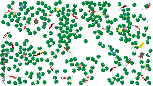 蓮池で泳ぐコイとカメ
